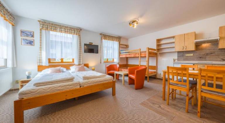 Rental apartment with yard in Harrachov