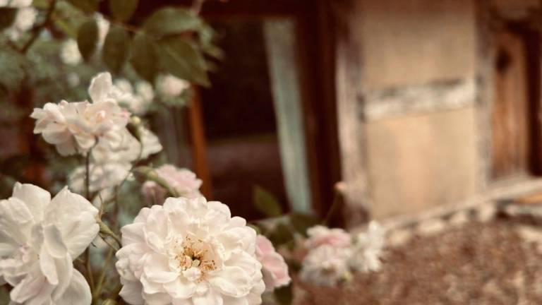 Ferienhaus  Sulingen