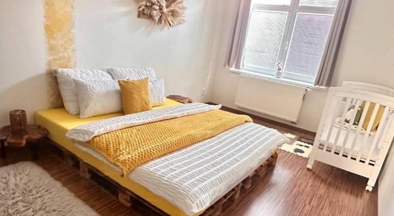 Rental apartment | Pets allowed in Ceske Budejovice