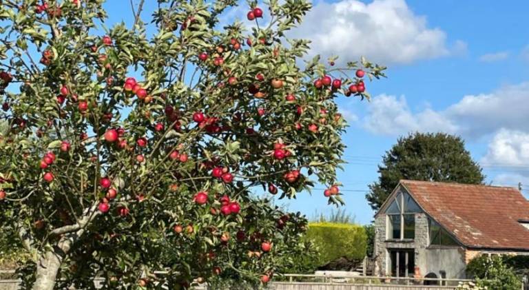 House | Pet-friendly in Taunton
