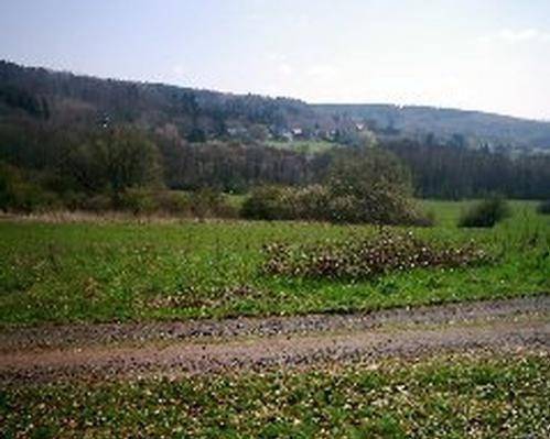 foto13