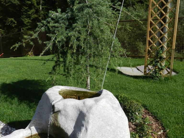 foto38