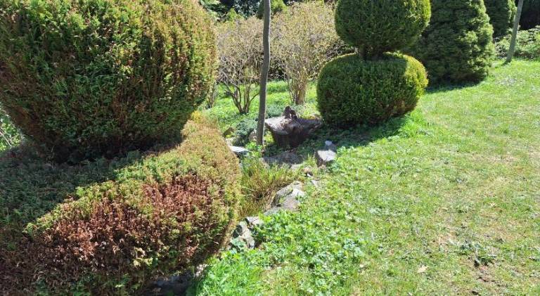 foto24