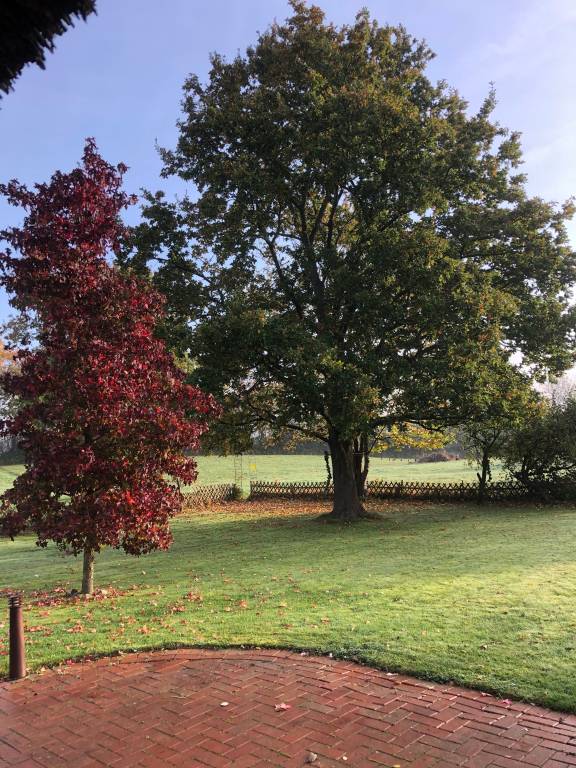 foto16