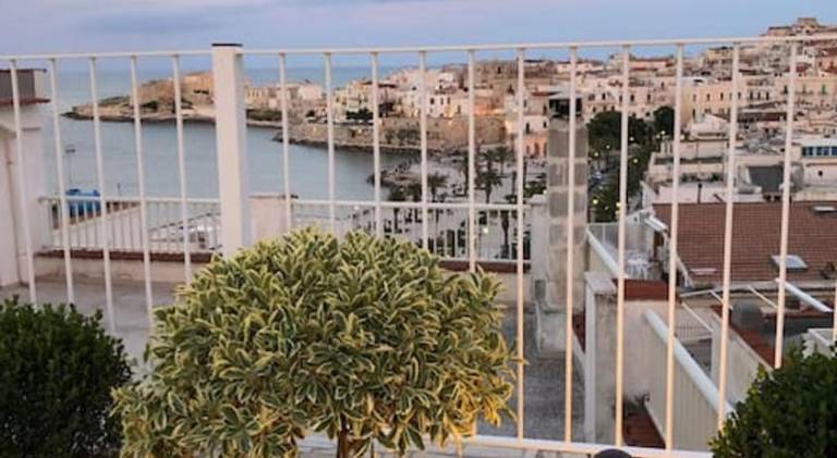 Holiday apartment with 1 room for 3 persons — photo 4