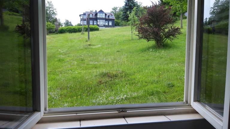 foto38