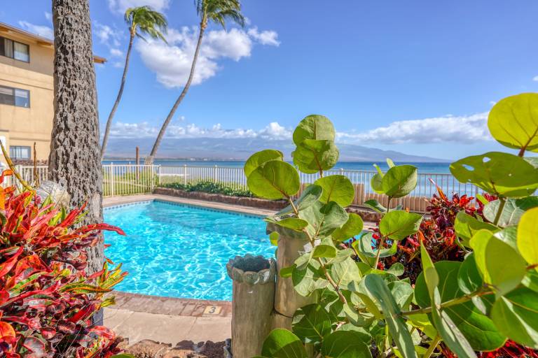 Apartment  Wailuku