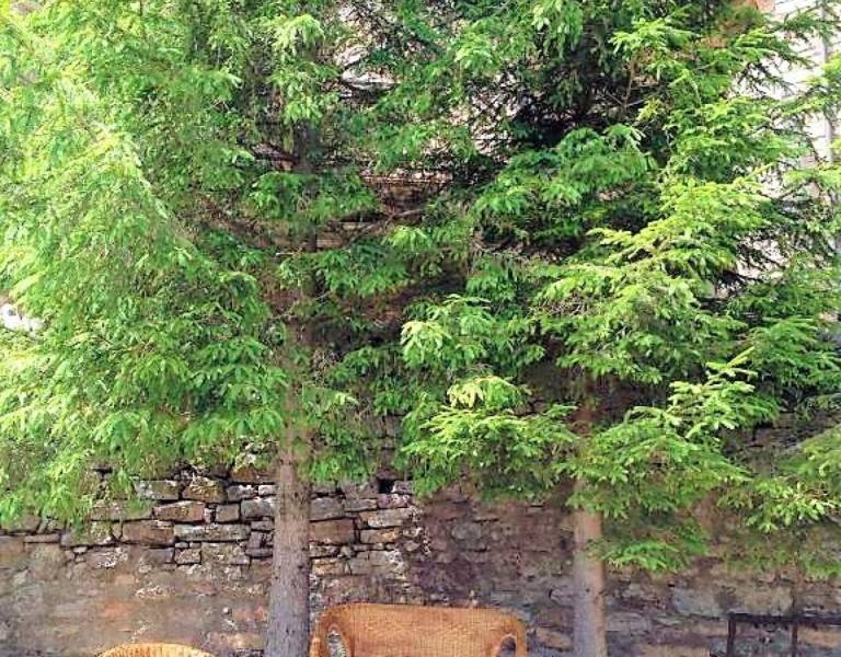Apartamento Castellar de Nuch