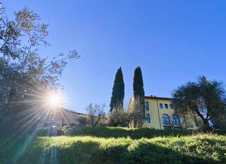 Villa with yard, private pool & barbeque — photo 3