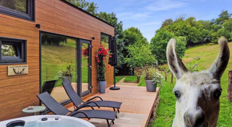Chalet with hot tub | Pets allowed — photo 3