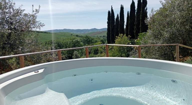 Farm with patio, pool & yard | Pets allowed — photo 4