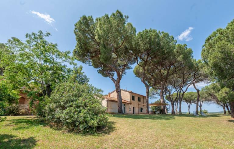 Casale Scarlino