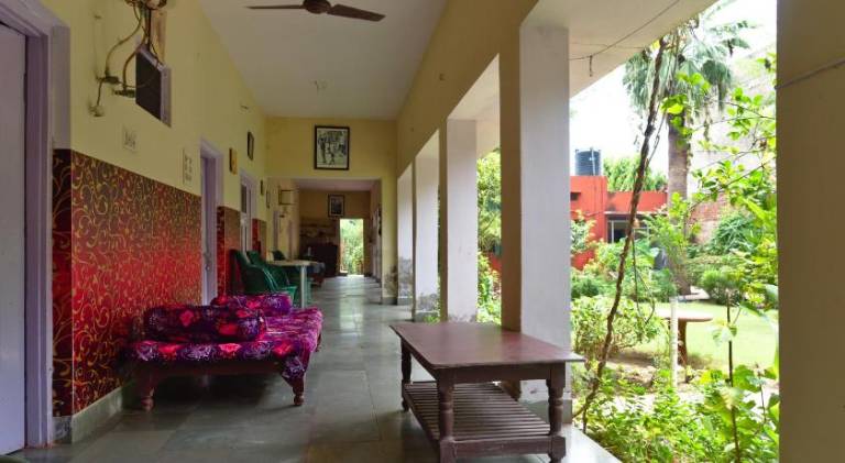 Jungle Lodge — photo 3