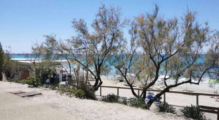 Apartment with 2 rooms for 5 persons in Alezio