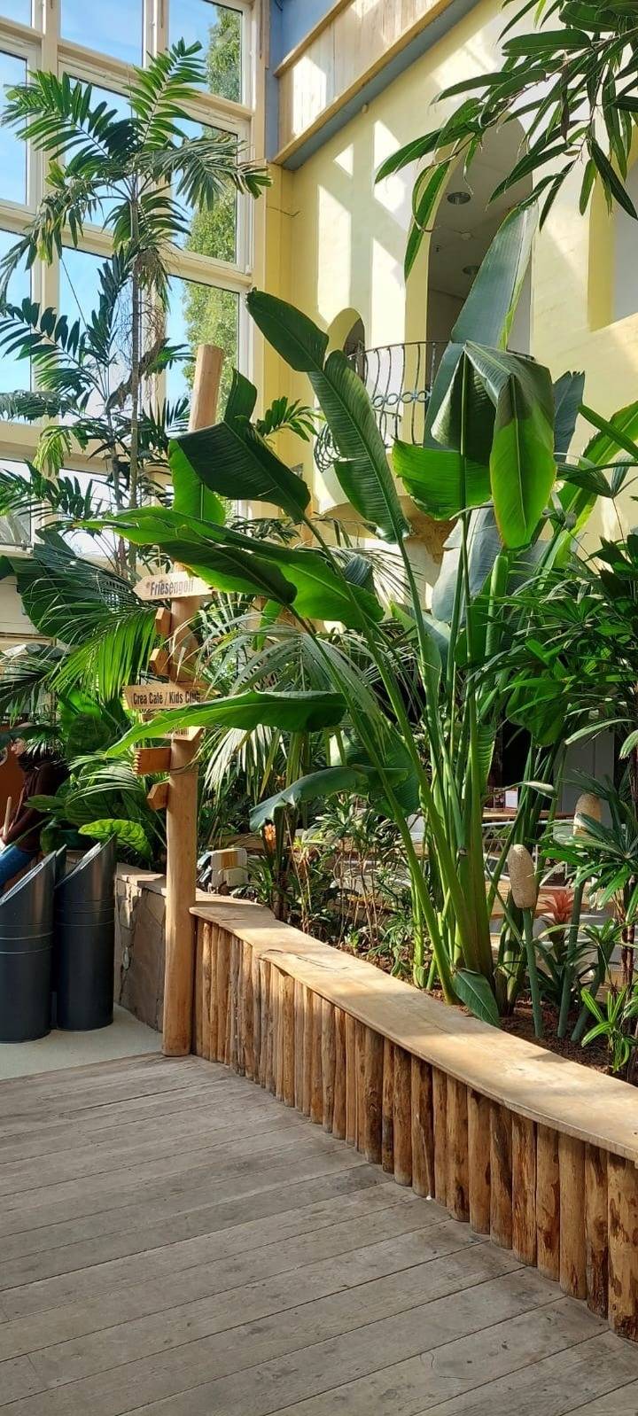 foto11