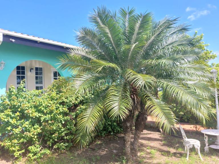 Beautiful and spacious house close to beaches and facilities — photo 2