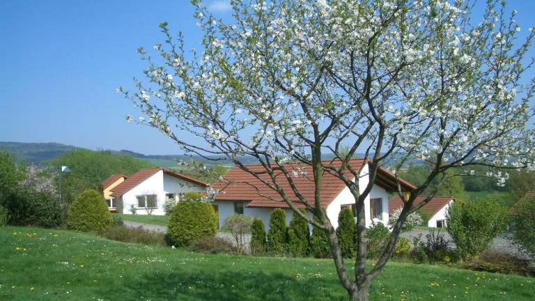 Ferienhaus  Uslar
