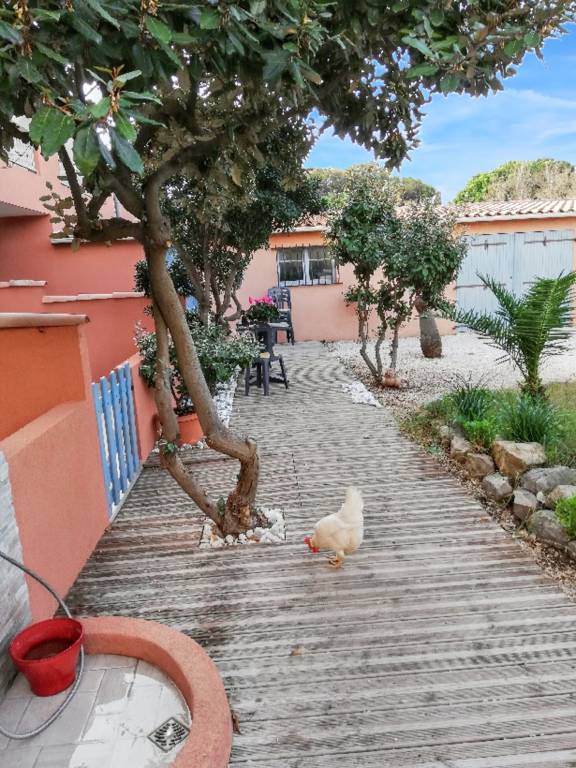 Studio with barbeque, terrace & yard | Garden view — photo 2
