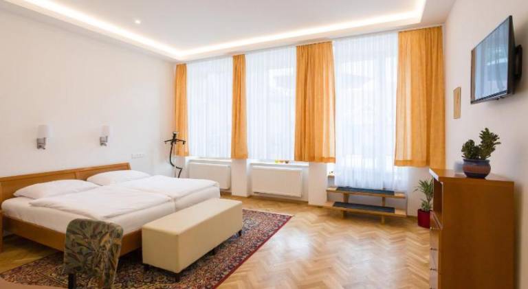 Apartmán Vysoke Myto