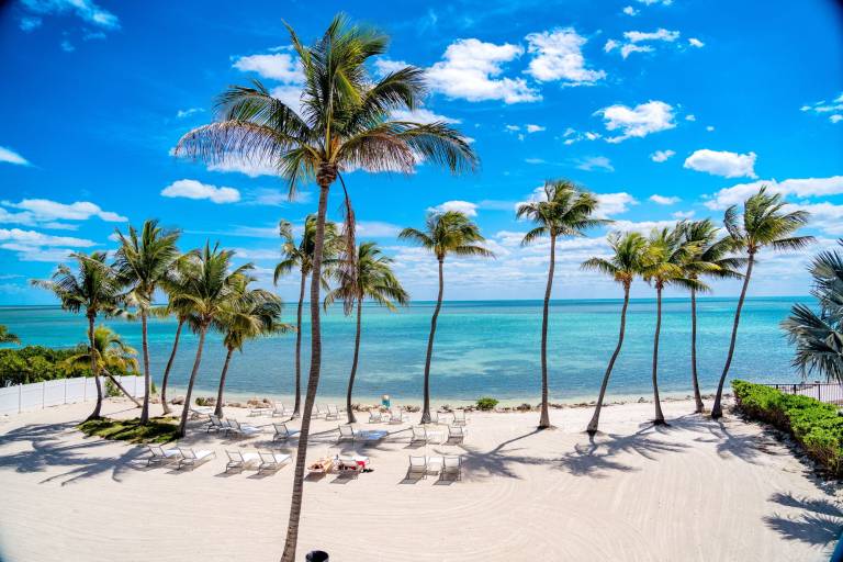 Resort Islamorada