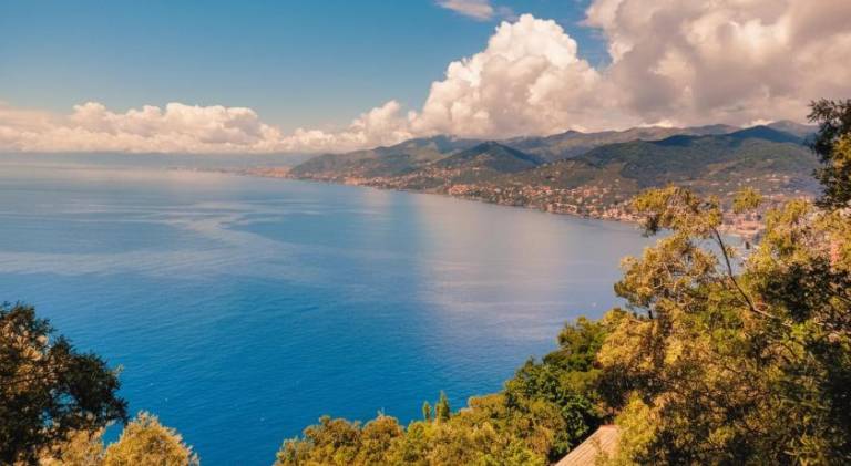 Villa Olivari Portofino Garden Apartments - Alma Slow Living in Camogli
