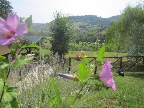 Agriturismo Bertinoro