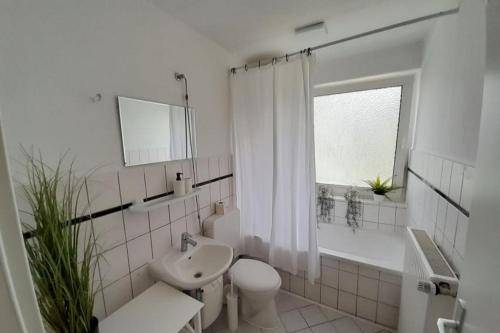 foto2