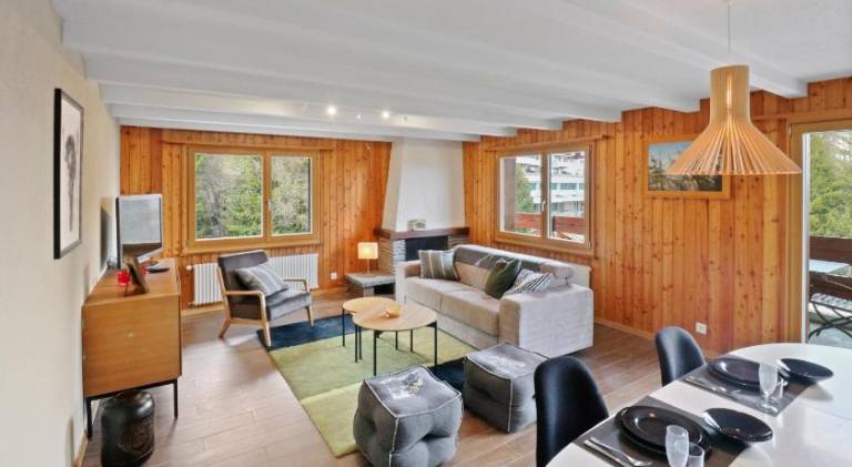 Magnifique appartement au coeur des 4 Vallees in Vex