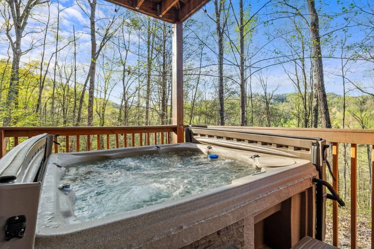 Hickory Hollow Lodge — photo 4