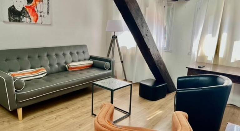 Nice holiday apartment | Next to Capitole de Toulouse | Pets are welcome in Toulouse
