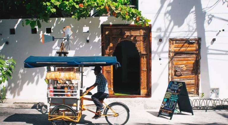 The Green Village Boutique Hotel in Playa del Carmen