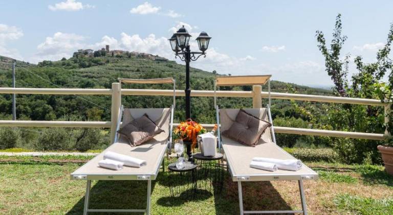 Farm with barbeque, garden & terrace — photo 4