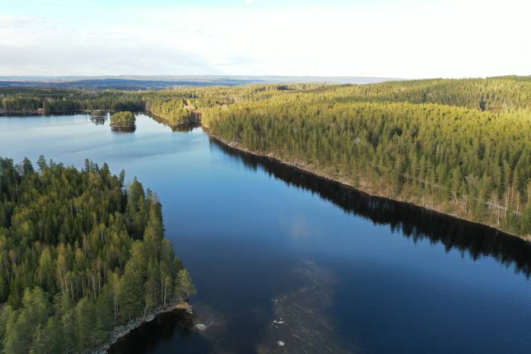 foto11