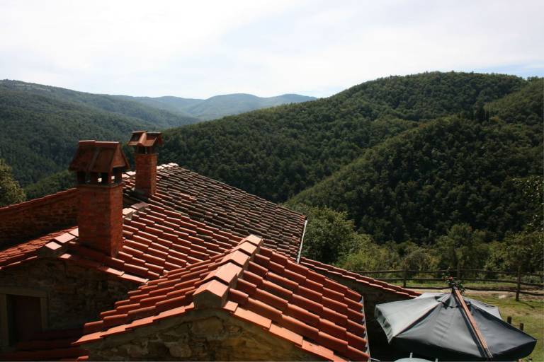 Very old stone farmhouse perfect for 5 persons with private garden and pool. Completely fenced plot. — photo 4