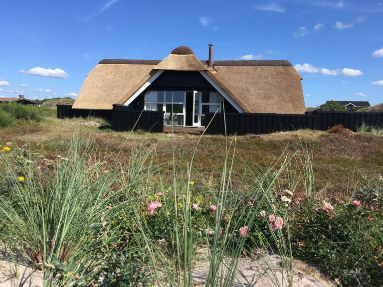 Ferienhaus Hvide Sande