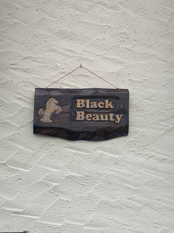 Ferienwohnung Münstermaifeld