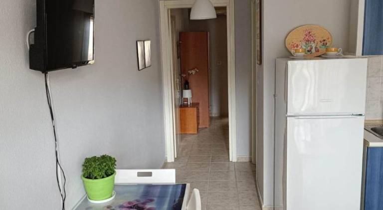 Holiday apartment | Dogs allowed — photo 4