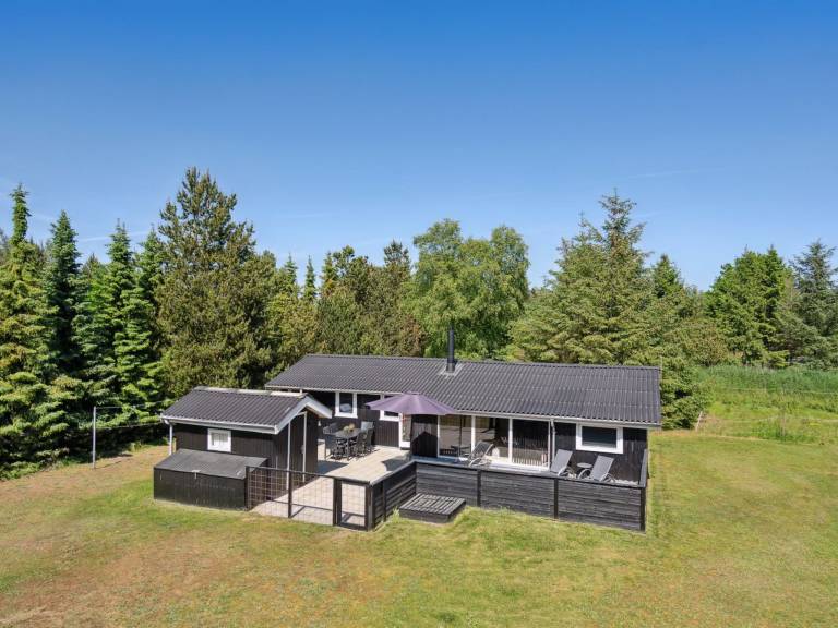 Ferienhaus Skagen
