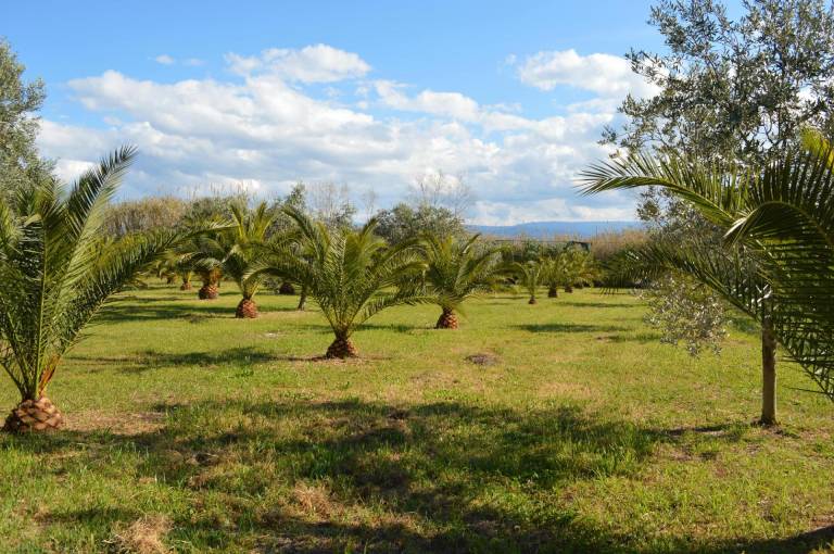 Ferienwohnung in Ischitella f&uuml;r max. 2 Personen