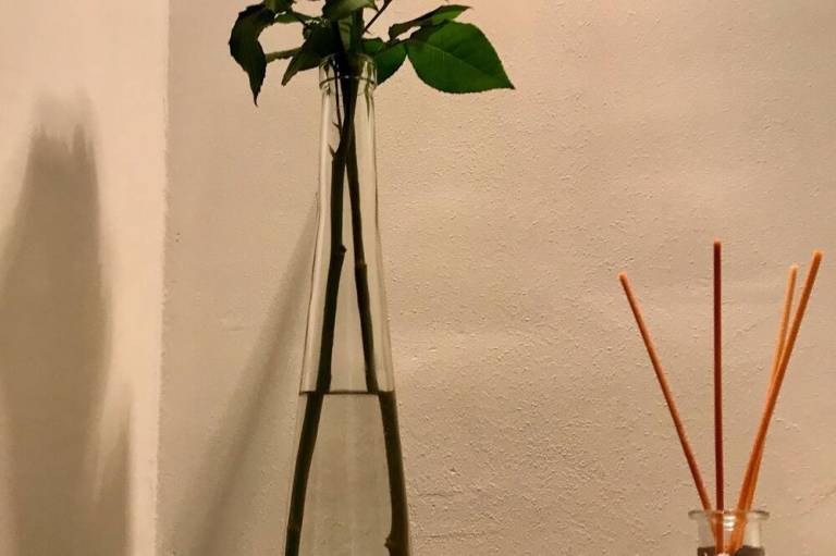 foto18