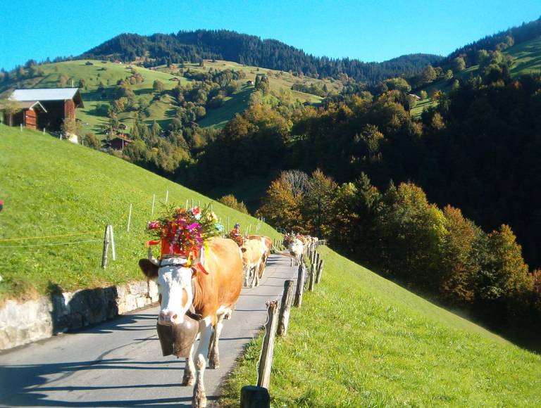 Ferienwohnung in Habkern, Berner Oberland für max. 4 Personen Ferienwohnung in Habkern, Berner Oberland für max. 4 Personen