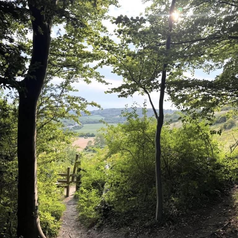 foto15
