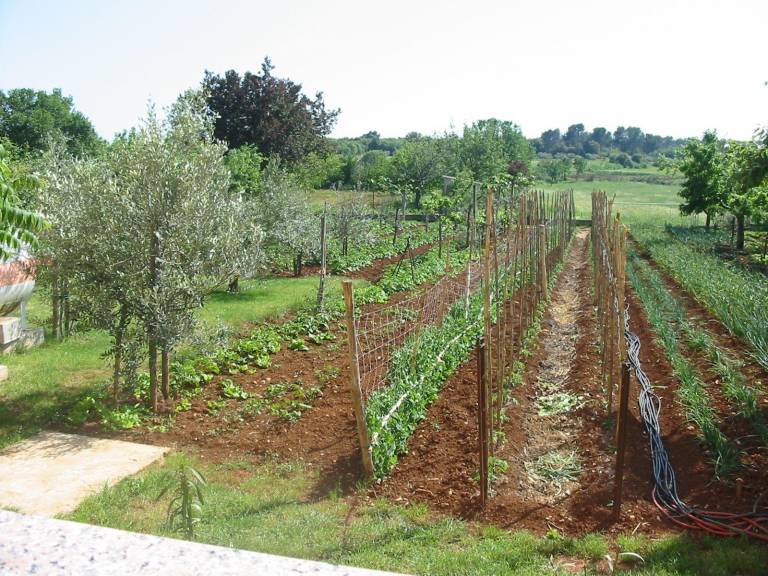 Appartamento vacanza Štinjan