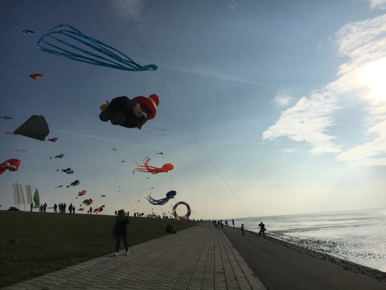 foto20