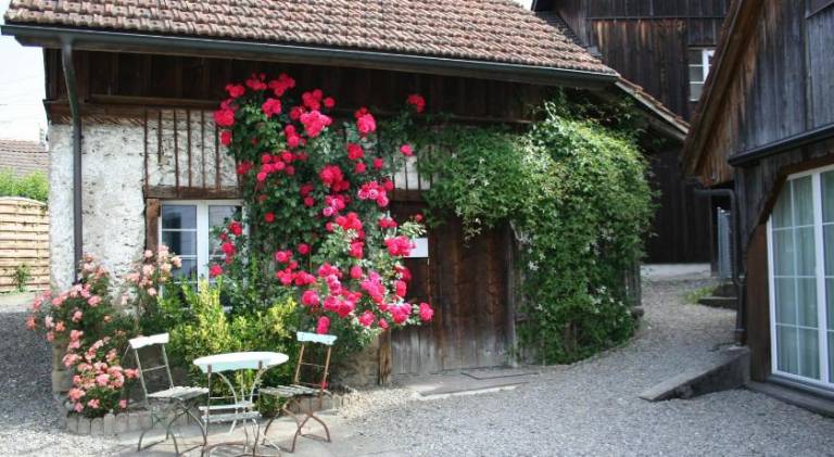 49 m² Ferienhaus