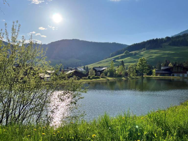 foto10