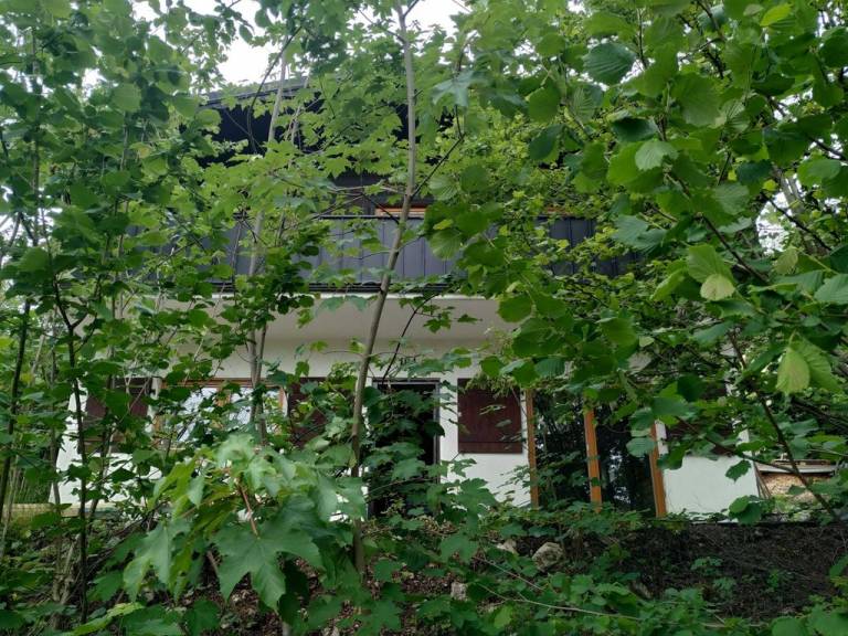 foto29