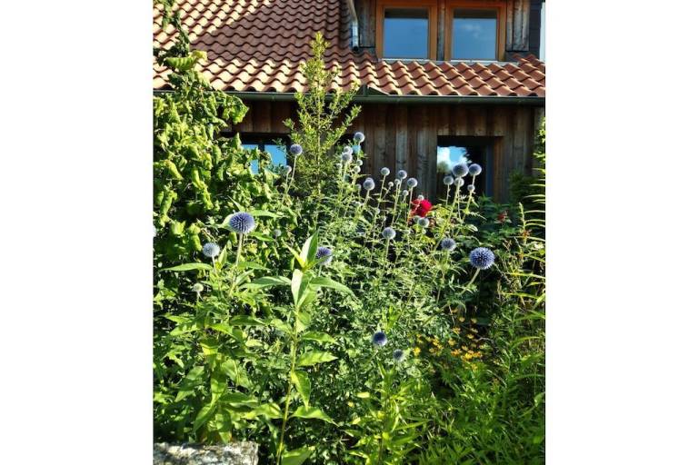 Ferienhaus Hitzacker (Elbe)