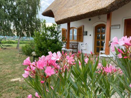 Apartman  Sümeg