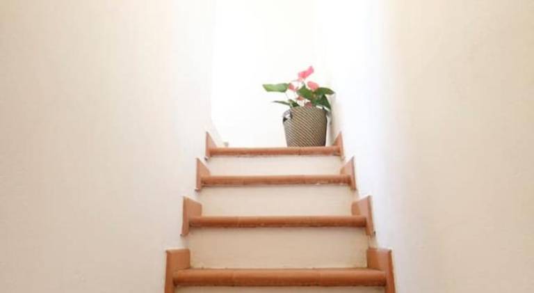 Vacation home | Pets allowed — photo 3